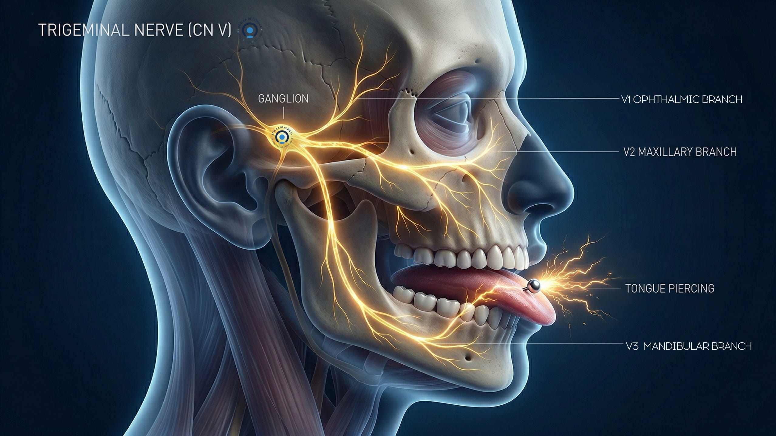 Articolo nevralgia e piercing